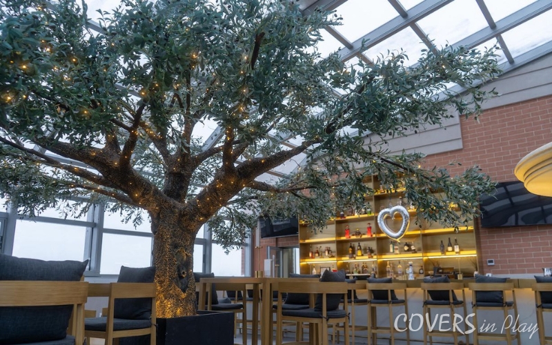Interior view of restaurant bar roof enclosure in Chicago, Illinois